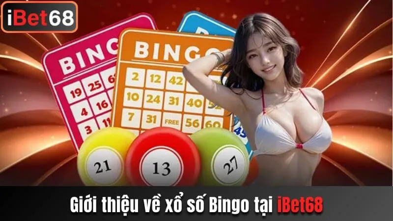 Giới thiệu về xổ số Bingo tại iBet68
